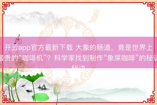 开云app官方最新下载 大象的肠道，竟是世界上最贵的“咖啡机”？科学家找到制作“象屎咖啡”的秘诀
