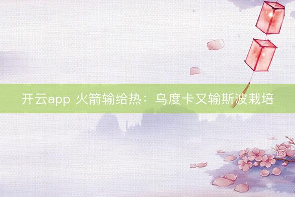 开云app 火箭输给热：乌度卡又输斯波栽培